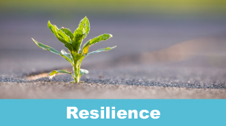 Resilience
