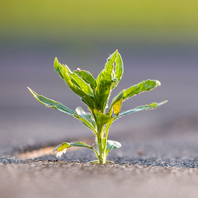 Resilience